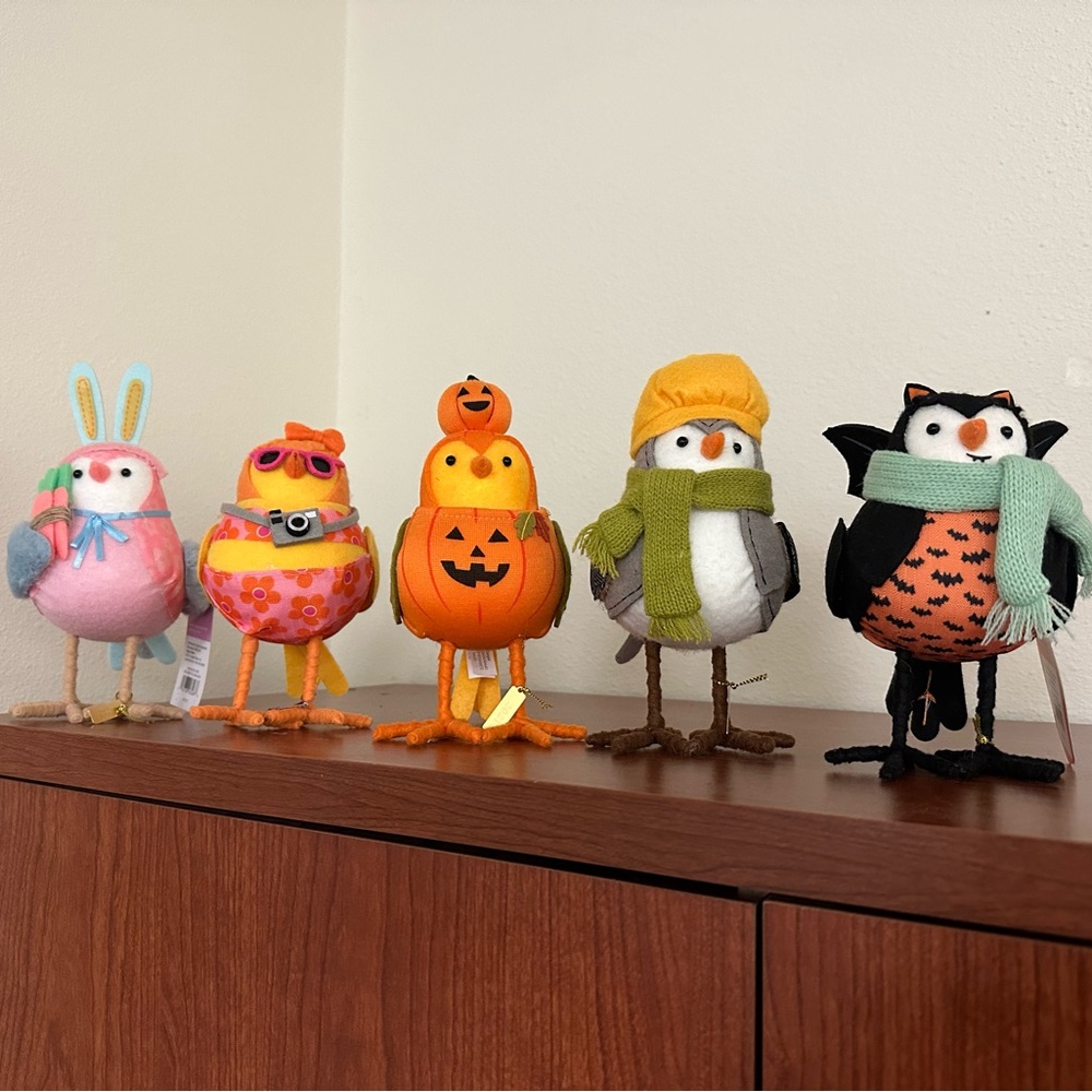 Set of 5 (Target) Birds